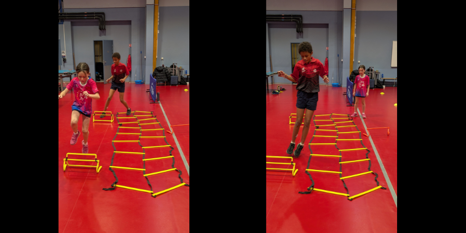 7---STAGE-DETECTION-FEVRIER-2026